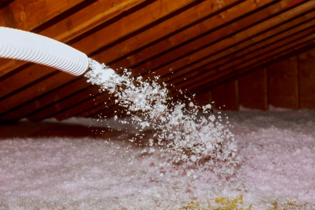 Best Wall Insulation Contractor  in Seyur, MO