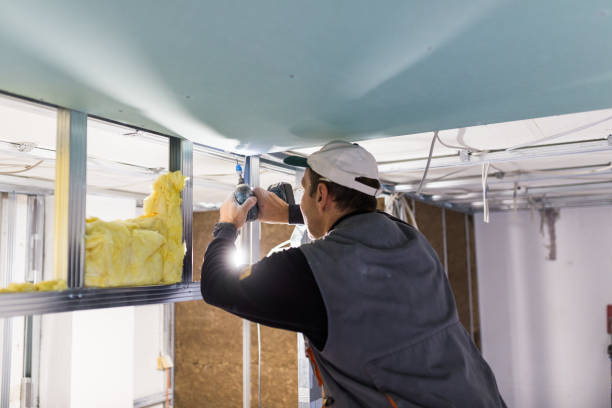 Insulation for Commercial Buildings in Seymour, MO