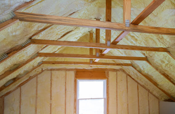 Best Insulation Removal Services  in Seyur, MO