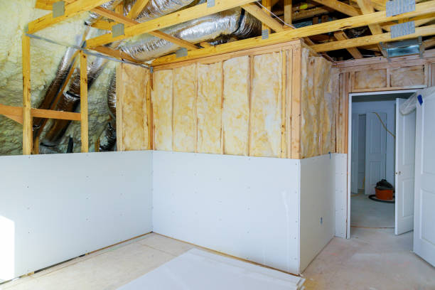Best Home Insulation Services  in Seyur, MO
