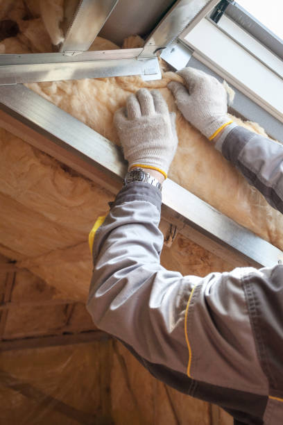 Best Insulation Inspection Services  in Seyur, MO