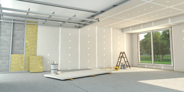 Best Cellulose Insulation  in Seyur, MO