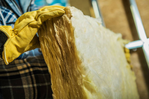 Best Attic Insulation Installation  in Seyur, MO