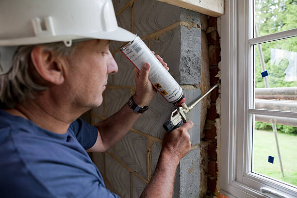 Best Garage Insulation Installation  in Seyur, MO
