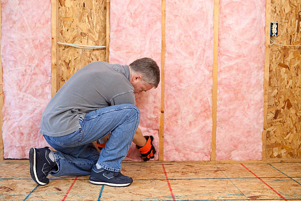 Best Insulation Inspection Services  in Seyur, MO