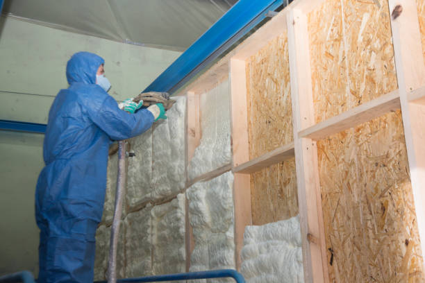 Best Attic Insulation Installation  in Seyur, MO