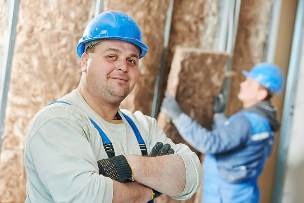 Best Insulation Replacement Services  in Seyur, MO