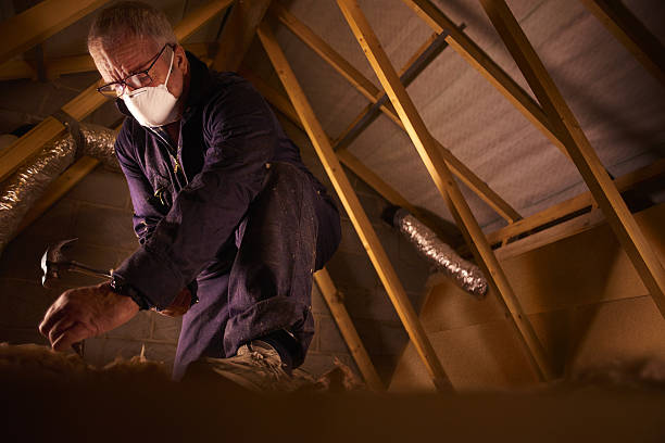 Insulation Repair Services in Seymour, MO